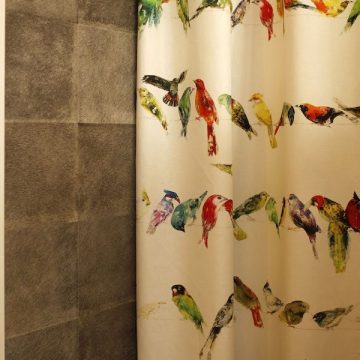 Chivasso Bird Song Links en Co